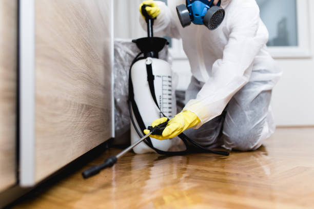 Best Cockroach Control Services  in Haledon, NJ