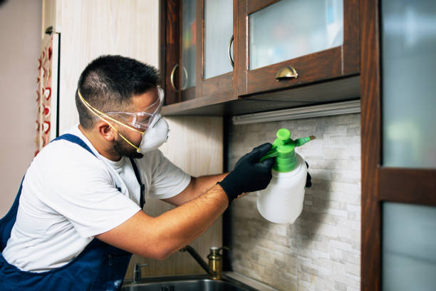 Best Wasp Removal Services  in Haledon, NJ