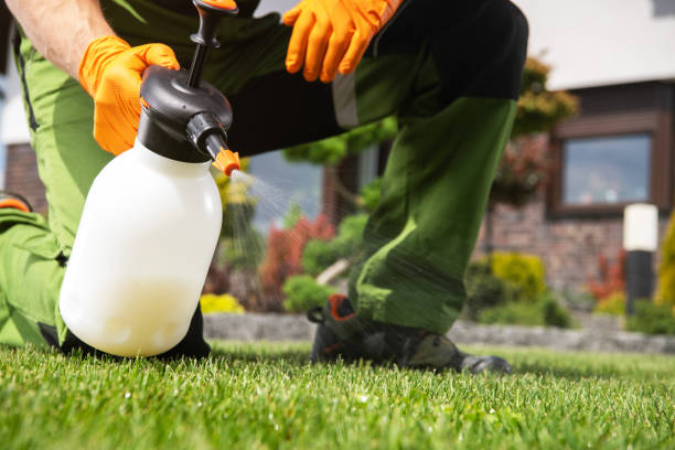 Best Best Pest Control Companies  in Haledon, NJ