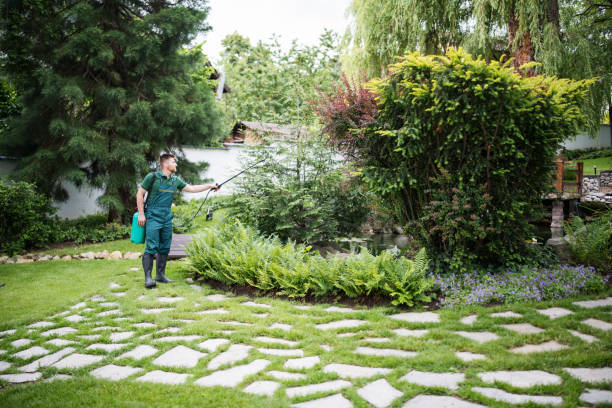 Best Exterminator Services  in Haledon, NJ