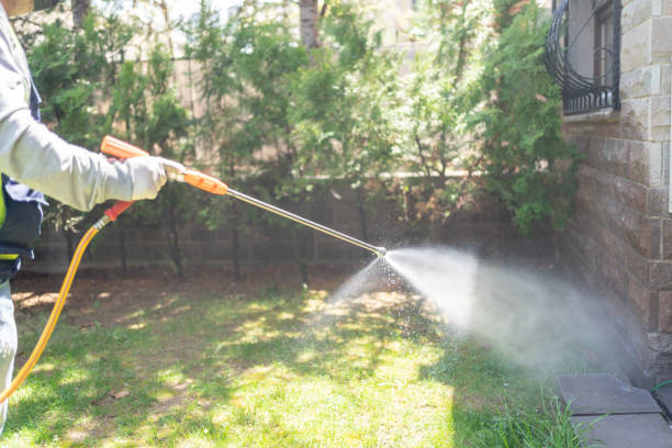 Best Best Pest Control Companies  in Haledon, NJ