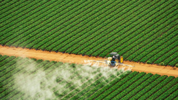 Best Mosquito Control Services  in Haledon, NJ