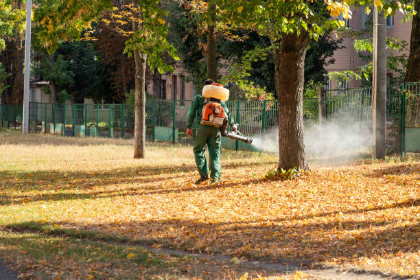 Trusted Haledon, NJ Pest Control Experts