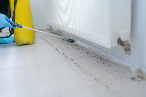 Best Residential Pest Control  in Haledon, NJ